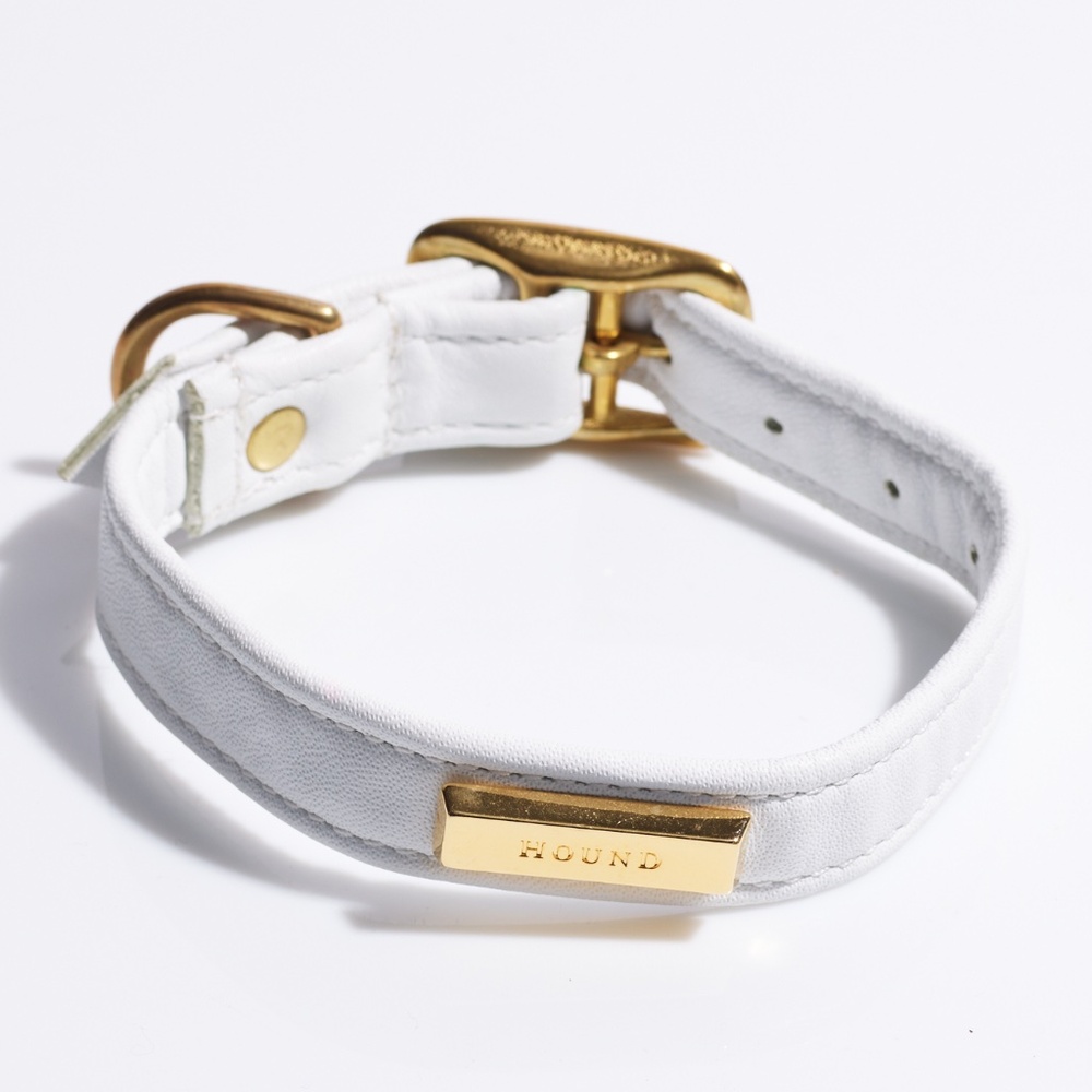 Leather Dog Collar by Hound Collection with Gold Bar Logo